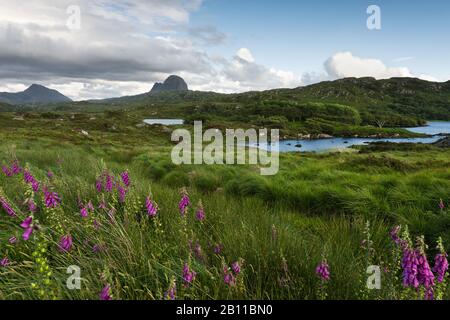 Berg Suilven, Highlands, Scozia, Inghilterra, Regno Unito, Europa Foto Stock