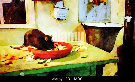 Acquerello che rappresenta un ratto che mangia su un tavolo in una vecchia casa Foto Stock