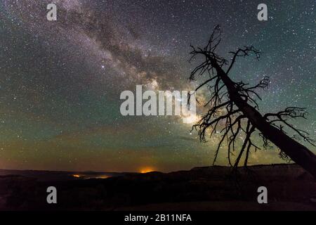 Milky Way, Bryce Canyon National Park, Utha, Stati Uniti Foto Stock