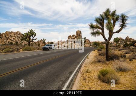 Parco nazionale di Joshua Tree, Deserto Mojave, CALIFORNIA, STATI UNITI D'AMERICA Foto Stock