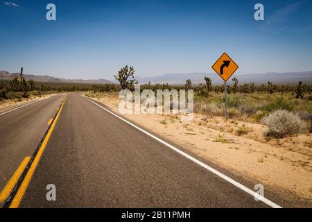 Joshua Trees And Road Nel Deserto Di Mojave, Mojave National Preserve, San Bernardino County, California, Stati Uniti Foto Stock