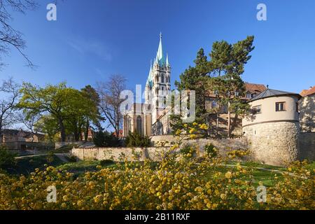 Cattedrale Di Naumburg, Naumburg, Sassonia-Anhalt, Germania Foto Stock