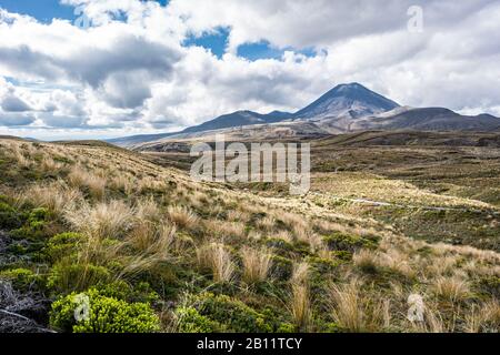 Monte Tongariro con ampio paesaggio erboso, Lord of the Rings Location, Mordor, Tongariro National Park, Nuova Zelanda Foto Stock