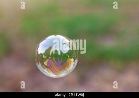 Una bolla di sapone solo colorato con riflessi Foto Stock