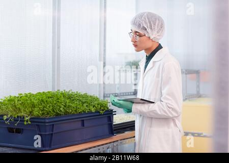 Giovane botanico asiatico in camice bianco utilizzando la tavoletta digitale nel suo lavoro con giovani piante verdi in laboratorio Foto Stock