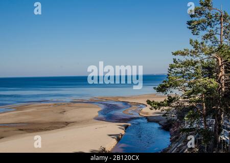La Duna Bianca e il Baltico vedere a Saulkrasti in primavera, Lettonia. Spiaggia di sabbia bianca vicino alla foresta di conifere nel Baltico. Foto Stock