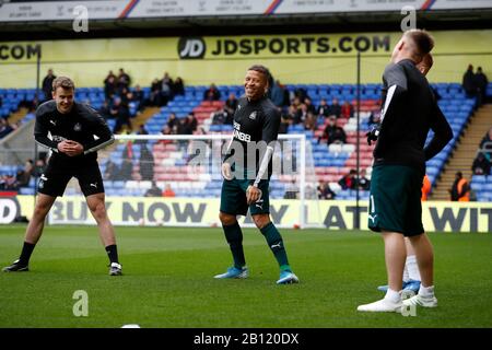 Selhurst Park, Londra, Regno Unito. 22nd Feb, 2020. Calcio inglese Premier League, Crystal Palace contro Newcastle United; Dwight Gayle di Newcastle United durante il warm up pre match Credit: Action Plus Sports/Alamy Live News Foto Stock