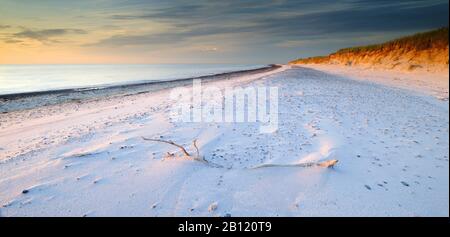 Infinita spiaggia di sabbia incontaminata alla luce della sera, Weststrand, Darß, Mar Baltico, Vorpommersche Boddenlandschaft National Park, Mecklenburg-West Pomerania, Germania Foto Stock