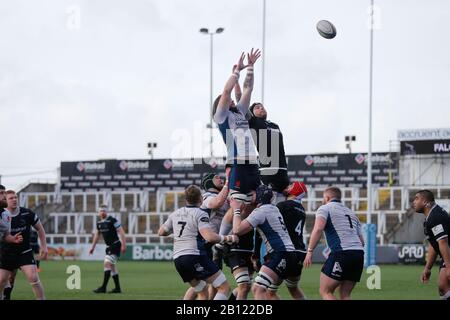 Newcastle, Regno Unito. 22nd Feb, 2020. Azione di allineamento durante la partita del Greene King IPA Championship tra Newcastle Falcons e London Scottish a Kingston Park, Newcastle, sabato 22nd febbraio 2020. (Credit: Chris Lishman | Mi News) Credit: Mi News & Sport /Alamy Live News Foto Stock