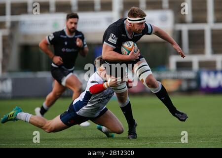 Newcastle, Regno Unito. 22nd Feb, 2020. Callum Chick di Newcastle Falcons sulla carica durante la partita del Greene King IPA Championship tra Newcastle Falcons e London Scottish a Kingston Park, Newcastle sabato 22nd febbraio 2020. (Credit: Chris Lishman | Mi News) Credit: Mi News & Sport /Alamy Live News Foto Stock