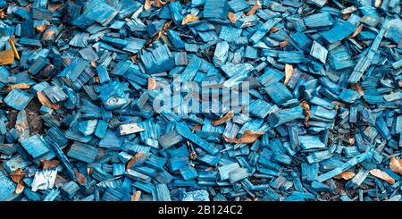 Texture trucioli. Legname, sfondo di legno blu. Superficie di legno, rifiuti di legno. Pacciame organico nel giardinaggio, paesaggio, ecologia di restauro, substr Foto Stock