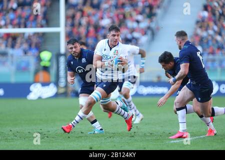 Roma, Italia, 22 Feb 2020, jake Polledri (italia) in Italia vs Scozia - Rugby Partita Sei Nazioni - credito: LPS/Massimiliano Carnabuci/Alamy Live News Foto Stock