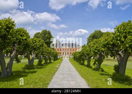 Lindenallee Con Il Castello Di Bothmer A Klütz, Meclemburgo-Pomerania Occidentale, Germania Foto Stock