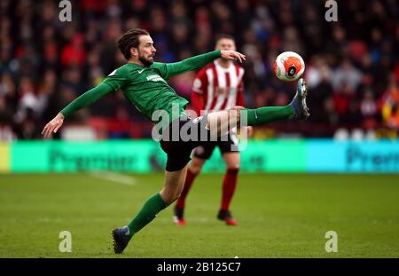 Brighton e Hove Albion's Davy Propper durante la partita della Premier League a Bramall Lane, Sheffield. Foto Stock