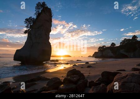 Cathedral Cove All'Alba, Mercury Bay, Nuova Zelanda Foto Stock