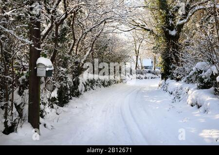 Casella postale/lettera coperta da neve nella corsia nazionale coperta da neve. Attaccato al palo telegrafo fuori casa. Foto Stock