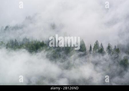 La nebbia nel Parco Nazionale Hohe Tauern Foto Stock