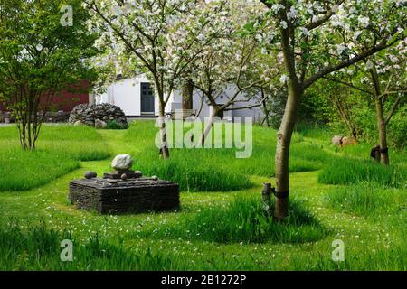 Frutteto di mele in fiore, con ardesia 'altare' e cairn pietra, vicino casa, Ribston Pippin, Tom Putt, Katja, e mele da dessert Merton Worcester. Foto Stock