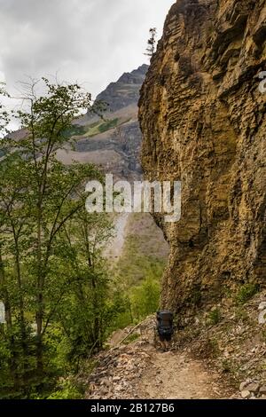 Berg Lake Trail a Mount Robson Provincial Park, British Columbia, Canada [Nessuna versione del modello; disponibile solo per le licenze editoriali] Foto Stock