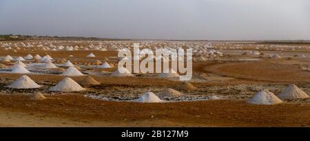 I campi di sale, Senegal Foto Stock