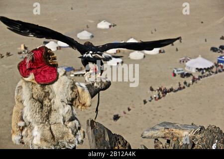 Golden Eagle Festival Mongolia 2018 Foto Stock