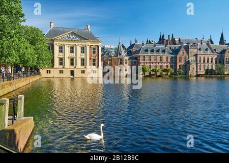 Il Mauritshuis a Binnenhof a L'Aia, Olanda meridionale, Paesi Bassi, Benelux Foto Stock