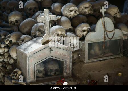 Box contiene i teschi delle vittime - peste del 1656 e epidemia di colera nel 1836, Cimitero delle Fontanelle, quartiere Sanità Napoli Italia Foto Stock