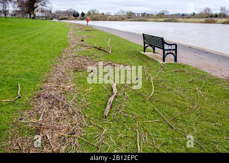 Detriti di fiume che segnano l'alto livello d'acqua delle inondazioni lungo una riva del fiume Trent, Nottingham, Inghilterra, Regno Unito Foto Stock