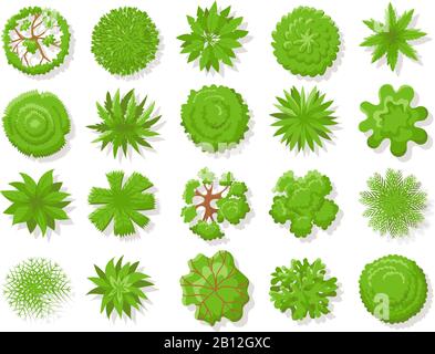 Piante con vista dall'alto. Alberi tropicali, pianta verde dall'alto per la mappa aerea isolato raccolta vettoriale Illustrazione Vettoriale