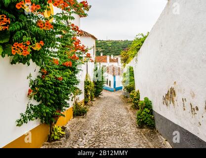 Vista Sulla Stretta White Blue Street Di Medieval City Obidos Portugal Foto Stock