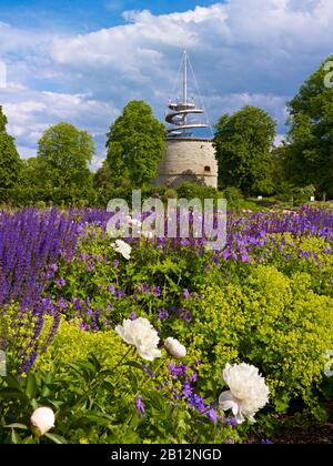 EGA Park, letto peony (peony) con torre di osservazione a Erfurt, Turingia, Germania Foto Stock