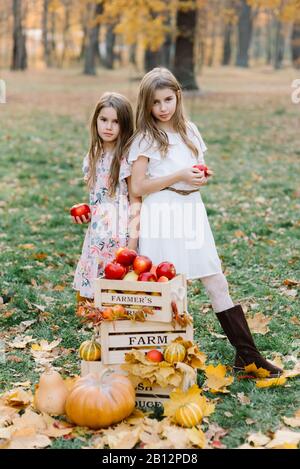 Due sorelle carine in lunghi abiti bianchi tengono in mani cesto di frutta e verdura matura. Raccolto ricco . Agricoltura. Messa a fuoco morbida Foto Stock