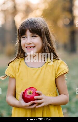 Bambino che raccoglie mele in fattoria nel frutteto autunno. Perdita di sorriso dente latte. Alimentazione sana. Foto Stock