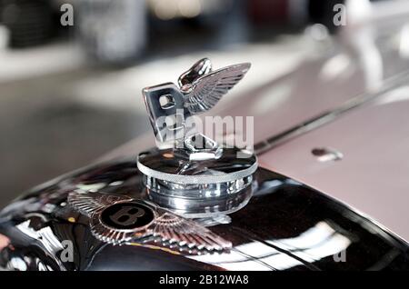 Fregio radiatore Bentley,logo,auto classica,classico Rally AMBURGO BERLINO,Amburgo,Germania,Europa Foto Stock