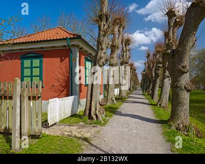 Parete Sud Con Wall House A Otterndorf, Hadeln, Bassa Sassonia, Germania Foto Stock