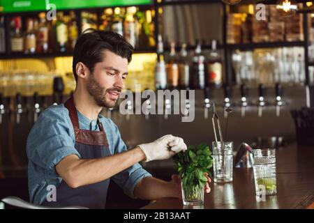 Fare Bevande. Barman in piedi al contatore che prende le foglie della menta sorridente gioioso Foto Stock