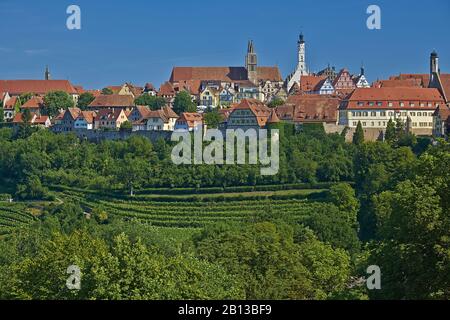 Paesaggio urbano con vigneti di Rothenburg ob der Tauber,Baviera,Germania Foto Stock