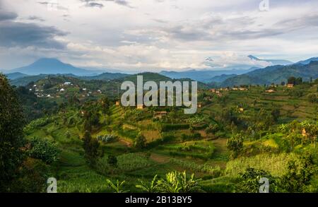 Vita del villaggio e vista dei vulcani Virunga vicino Gisenyi, Rwanda, Africa Village vita e la vista della Virungas, Vicino Gisenyi, Rwanda, Africa Foto Stock