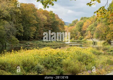 Questo fiume inizia sulle pendici orientali delle Green Mountains, a Killington, VT. Che scorre a nord-ovest lungo la montagna al fondovalle e a. Foto Stock