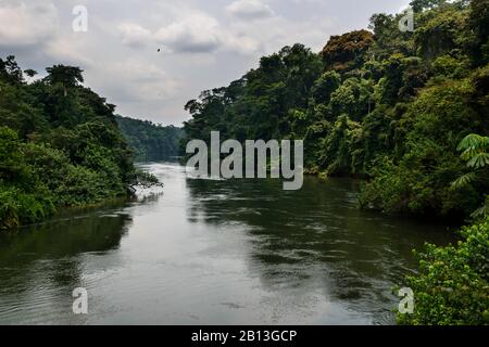Il fiume della foresta pluviale equatoriale, Gabon, Africa centrale Foto Stock