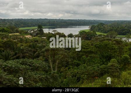 Il fiume della foresta pluviale equatoriale, Gabon, Africa centrale Foto Stock