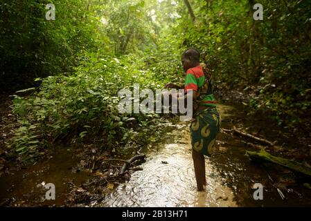 Vita dei Pigmei Bayaka nella foresta pluviale equatoriale, Repubblica Centrafricana, Africa Foto Stock