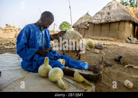 Un uomo di Burkinabe nel suo villaggio, tagliare zucche per trasformarle in contenitori per bere e mangiare, Burkina Faso Foto Stock