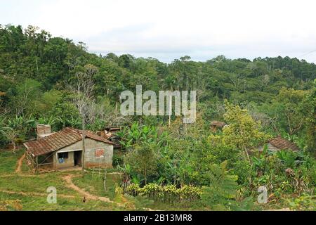 Insediamento nella foresta di Cuba, Cuba, Parco Nazionale di Topes de Collantes Foto Stock