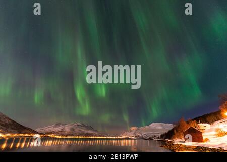 Aurora borealis, Kaldfjord a Kvaløya, Norvegia Foto Stock