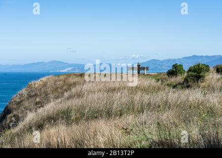 Donna Su Panchina, Point Kean, Kaikoura, Nuova Zelanda Foto Stock