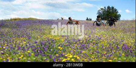 Ciclismo nel Medio Atlante, Marocco Foto Stock