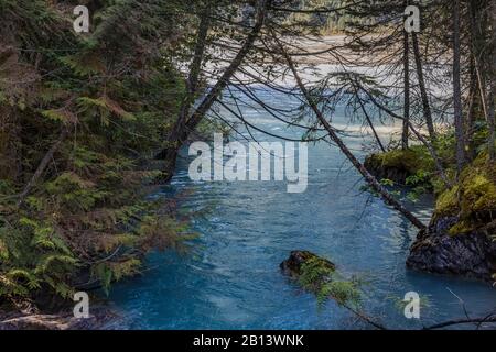 Canale Di Robson River Nel Mount Robson Provincial Park, British Columbia, Canada Foto Stock