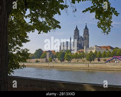 Cattedrale Di Magdeburgo, Magdeburgo, Sassonia-Anhalt, Germania Foto Stock