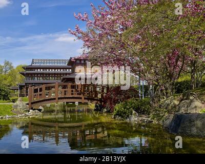 Giardino giapponese a Bad Langensalzza, Turingia, Germania Foto Stock